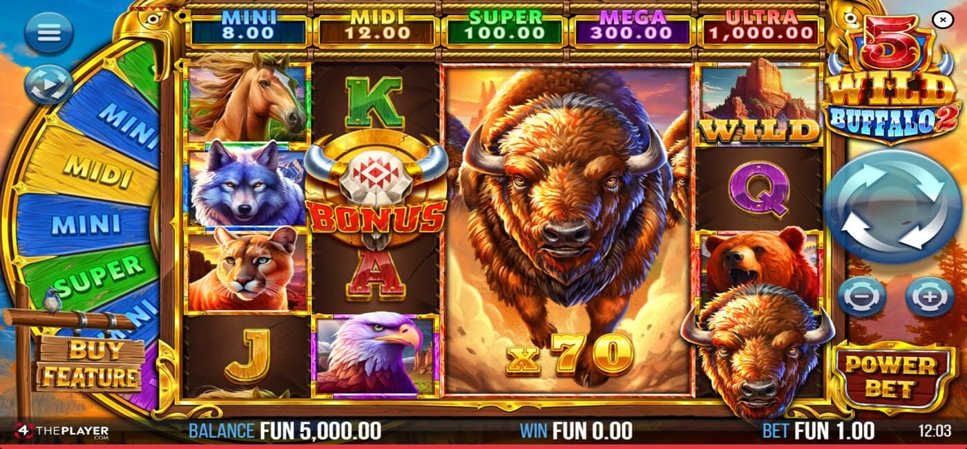 5 Wild Buffalo 2
